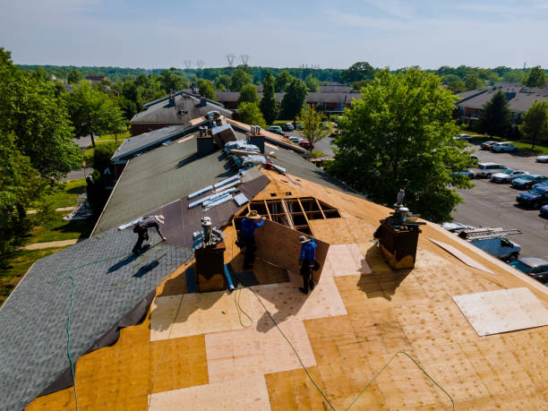 Best Storm Damage Roof Repair  in Nettleton, MS