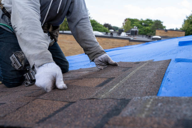 Best Commercial Roofing Services  in Nettleton, MS